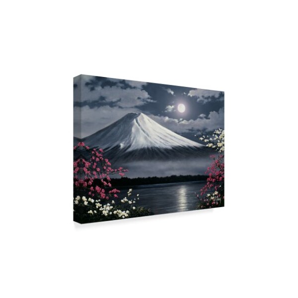 Anthony Casay 'Mountain Scene 4' Canvas Art,35x47